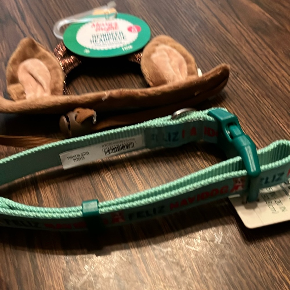 Smaller dog collar and reindeer ears
